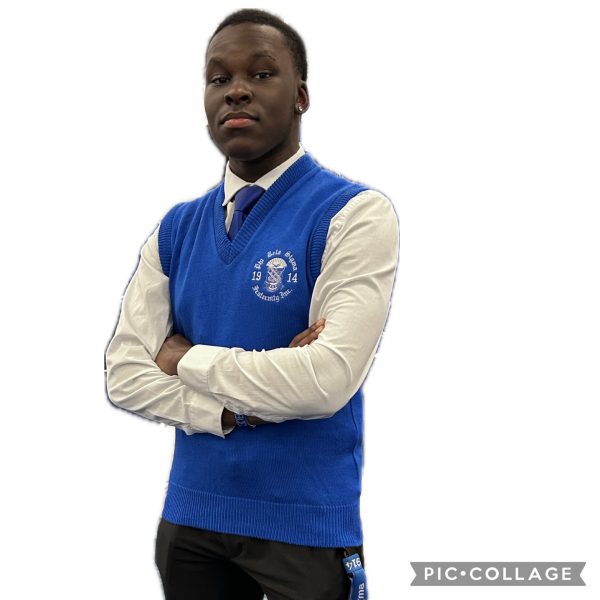 Sigma Professional Sweater Vest